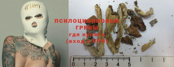 мдпв Няндома