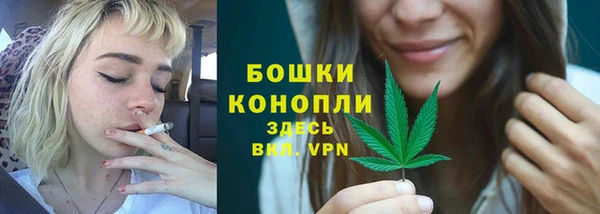 шишки Новокубанск
