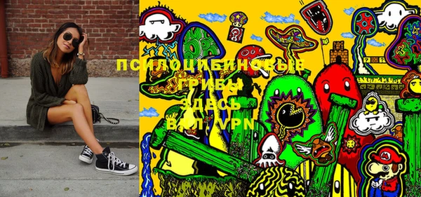 мдпв Няндома