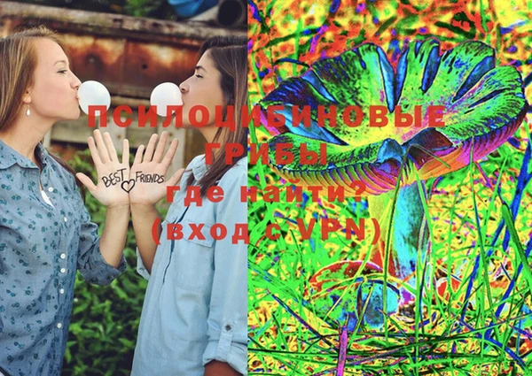 мдпв Няндома