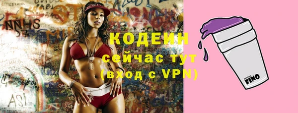 мдпв Няндома