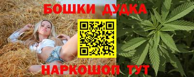 крисы Кимры