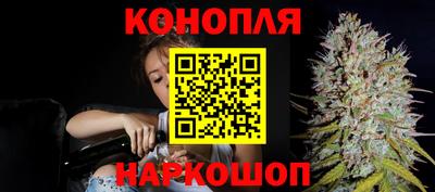 мескалин Кингисепп