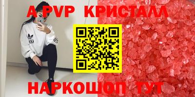 крисы Кимры