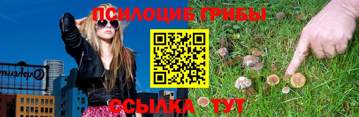 Псилоцибиновые грибы Magic Shrooms Родники