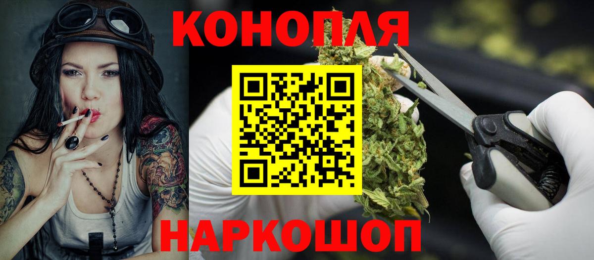 Каннабис OG Kush Родники