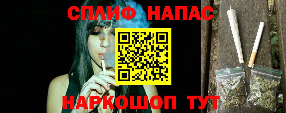 Каннабис сатива Родники